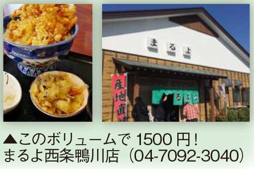 千葉ロッテ大好き宣言