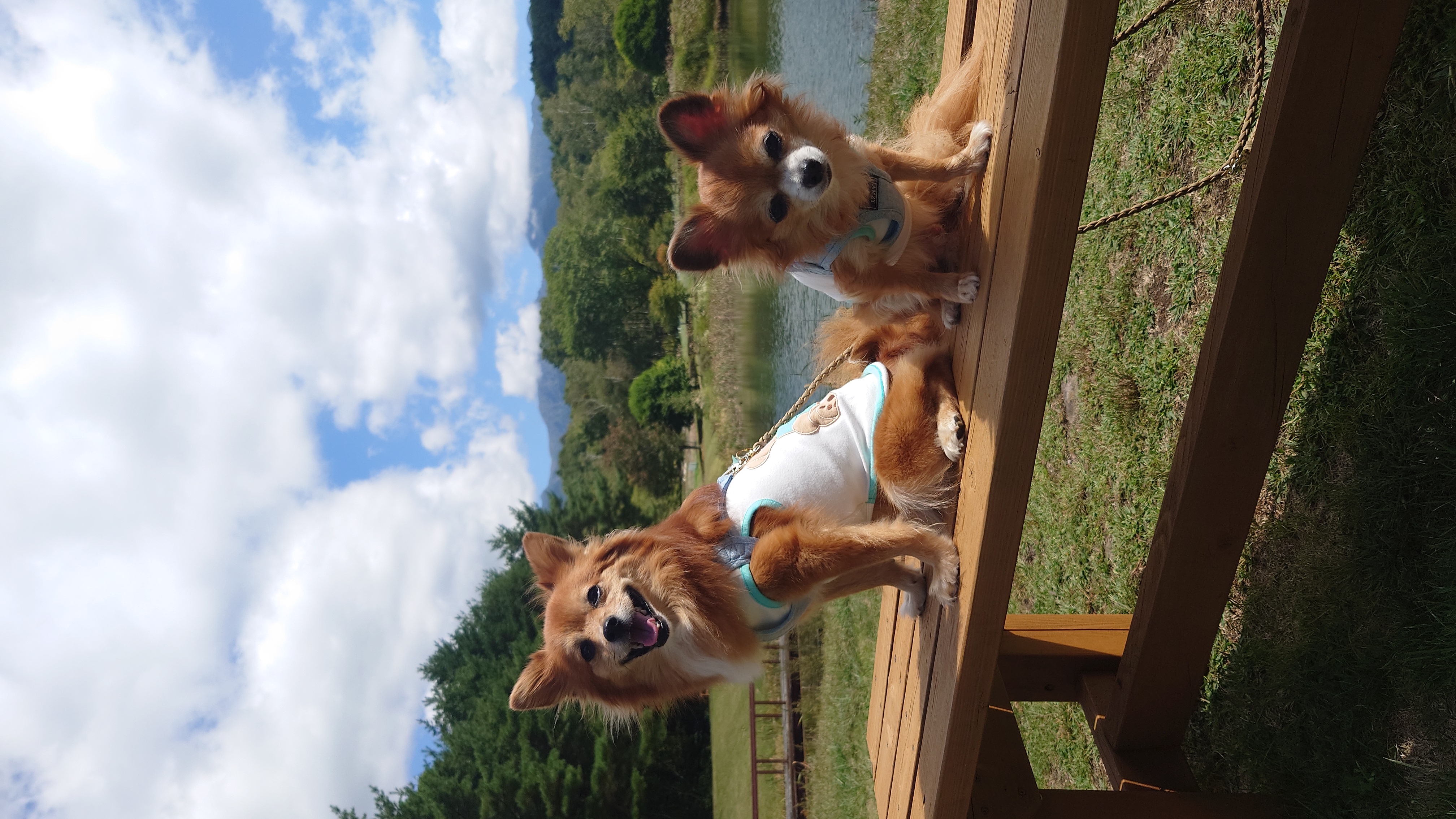 八ヶ岳自然文化園に行ってきました！