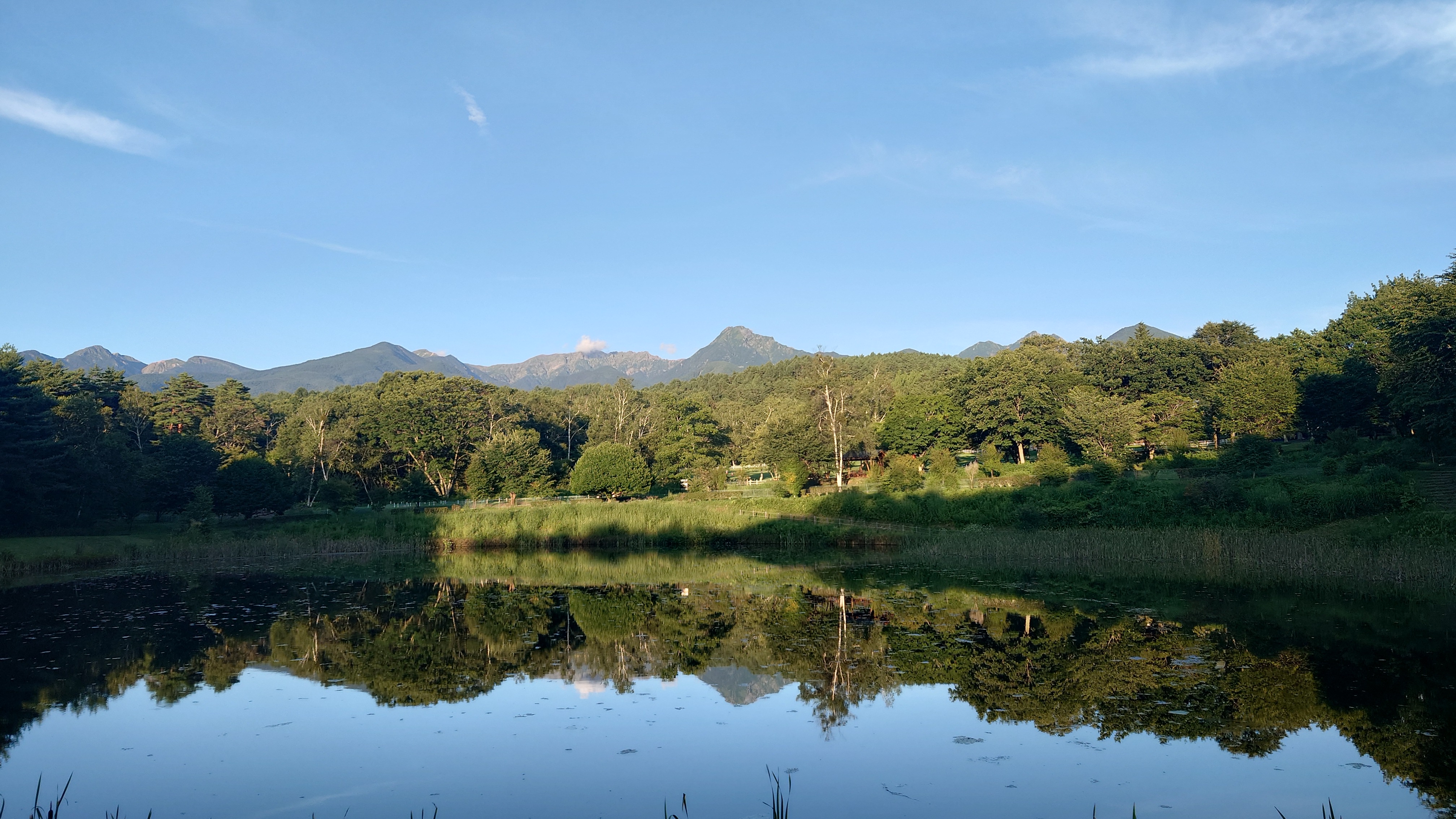 八ヶ岳自然文化園に行ってきました！